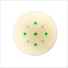 Aramith Q-Tru Training Ball | Golden Break Billiards